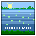 Bacteria