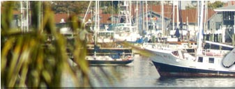 Manatee County Marina